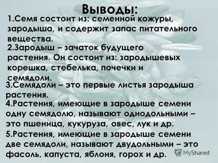 Сделайте вывод о строении семян однодольных растений