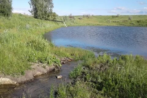 Погода кубра