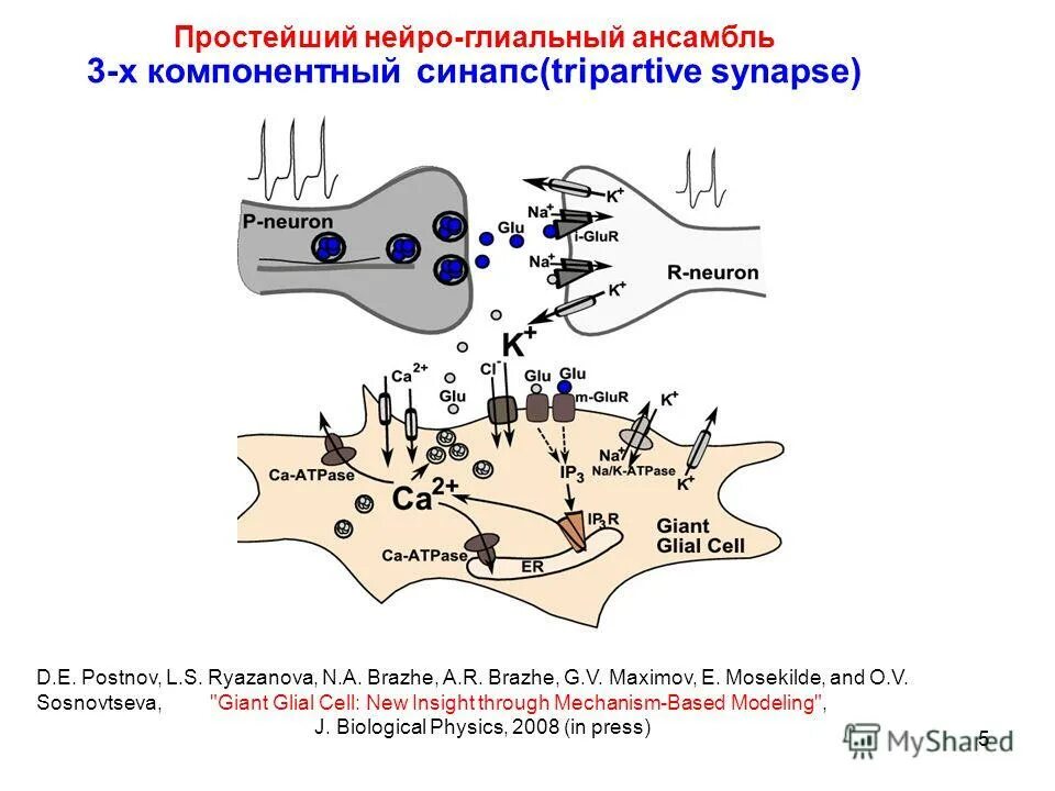 Что такое нейро