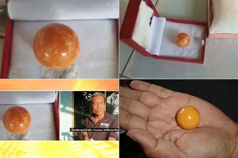 Terea sun pearl