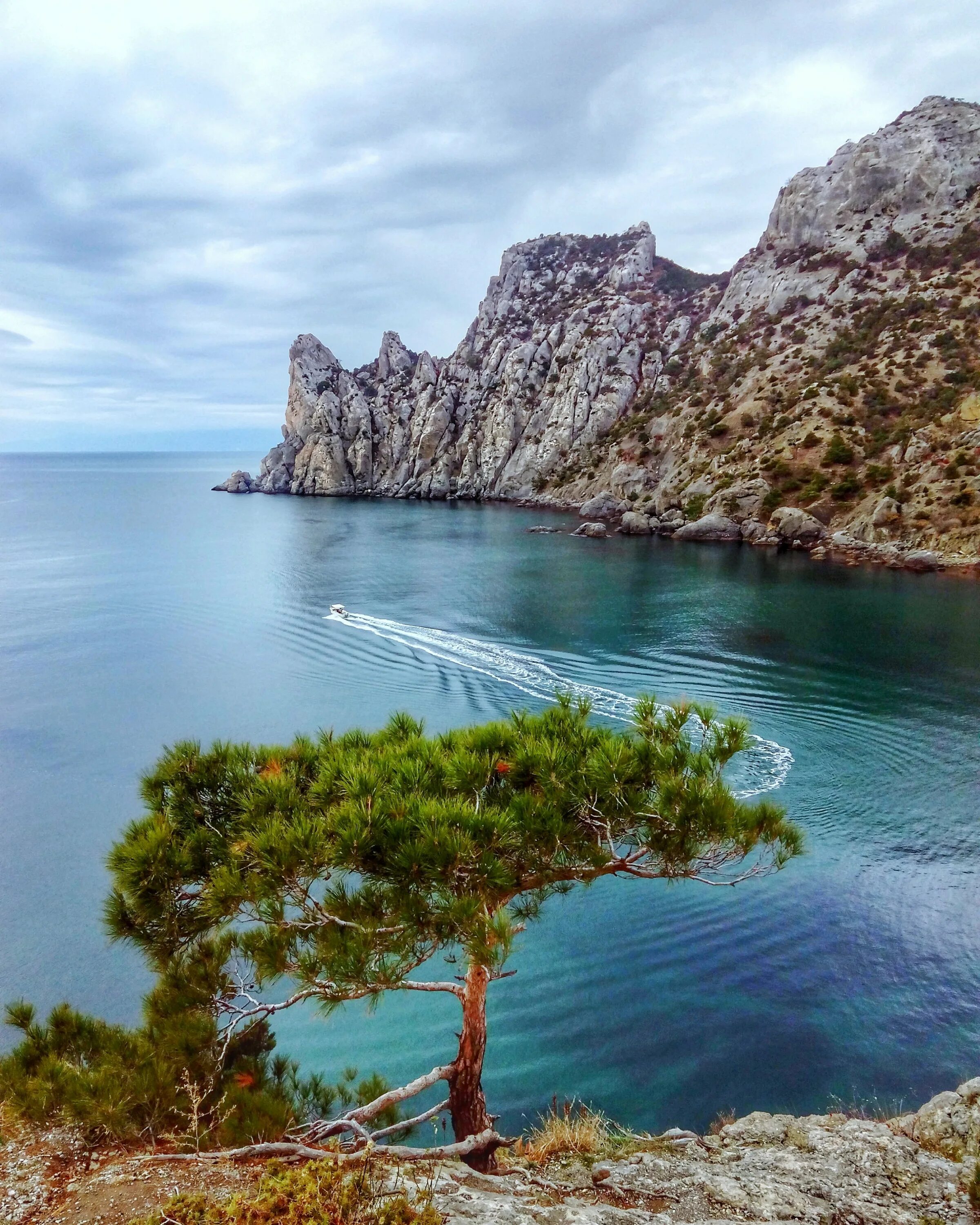 Красивое море крым. Скала Парус Симеиз. Новый свет Судакский район. Скала Парус Коктебель. Судак новый свет Крым.