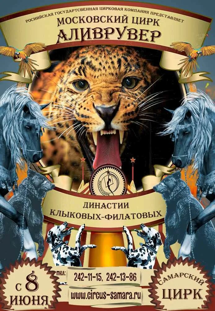 Цирк в самаре 2025 расписание представлений. Афиша цирка. цирк аливрувер. самарский цирк афиша. цирк самара афиша.