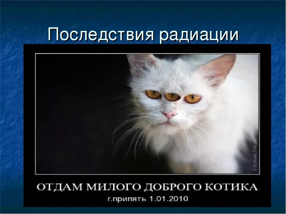 Последствия радиационных последствий. Последствия радиоактивного облучения. Последствия излучения. Последствия после радиации.