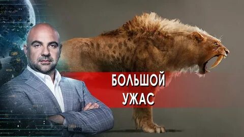 Как устроен мир с баженовым 2024