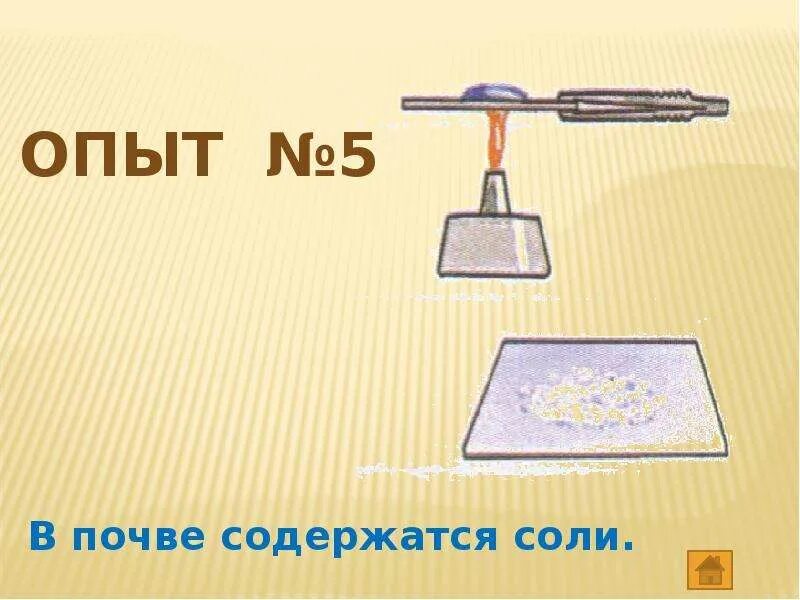В почве есть 3 класс окружающий. Опыты с почвой. опыт обнаружения воды в почве. опыты с почвой окружающий мир. опыт соль в почве.