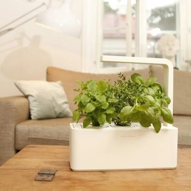 Home products ru. Зелень в доме умный дом. Smart Home Garden Indoor. SPLANT Smart Fresh Herb. Home products.