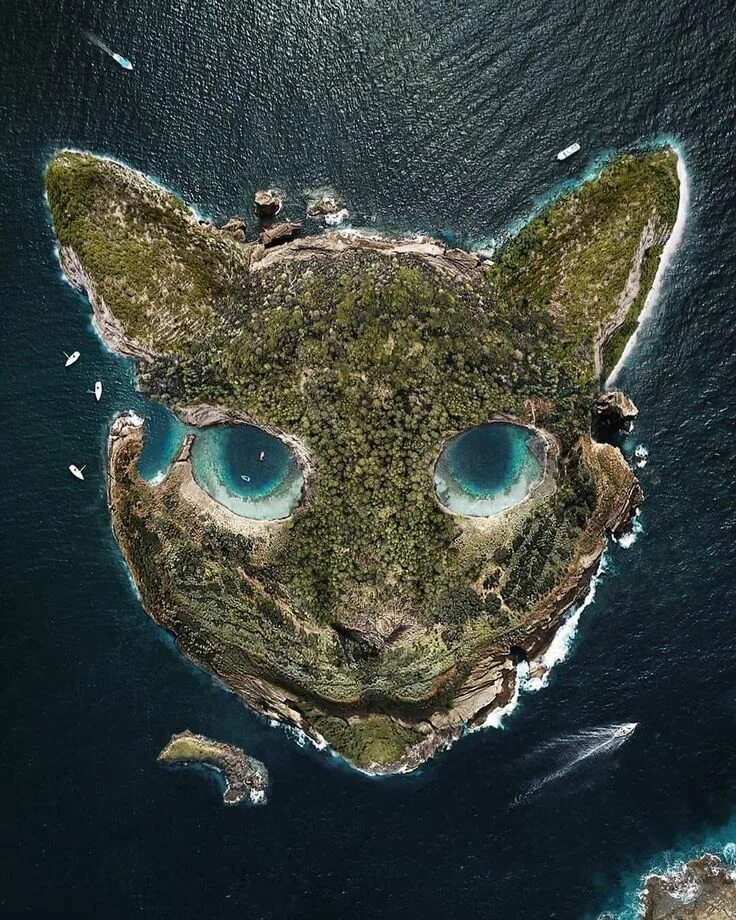 Необычные острова. Остров похожий на кошку. Острова в виде животных. Странный остров.