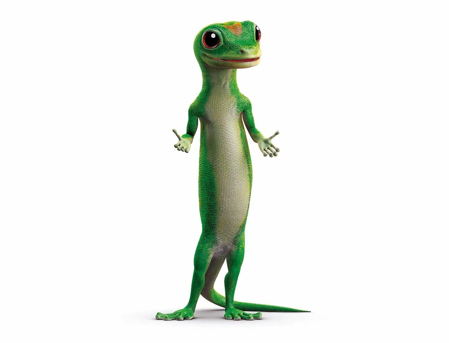 Ящерица ваня. Геккон Geico. Geico ящерка. Ящерица Перри. Геккон на белом фоне.