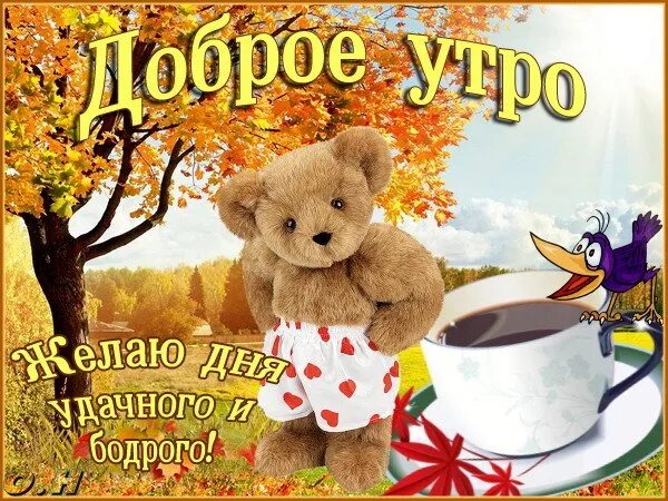 ВСЕМ - ВСЕМ... - Просто ДОБРОЕ УТРО , пользователь Надежда Прудникова Группы Мой