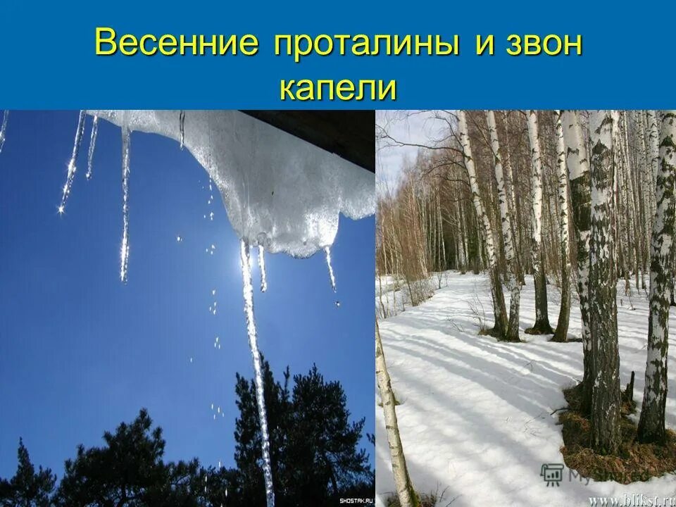 Тает звон. Весенняя капель. Весенняя капель для детей.