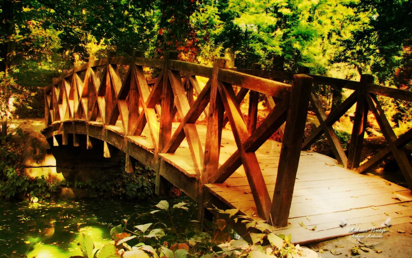 Построить деревянный мост. Деревянный мост. Деревянный мостик. Красивый деревянный мост. Мост из дерева.