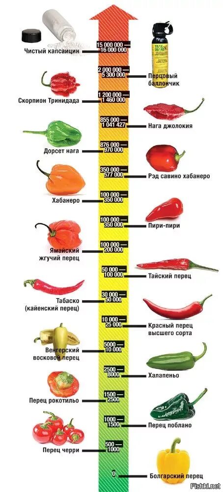 Самое острое сколько сковиллей. Острота перца по шкале Сковилла. Шкала жгучести перца по Сковиллу. Хабанеро перец шкала остроты. Таблица перцев по Сковиллу.