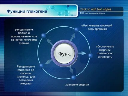 Гликоген в организме выполняет функции