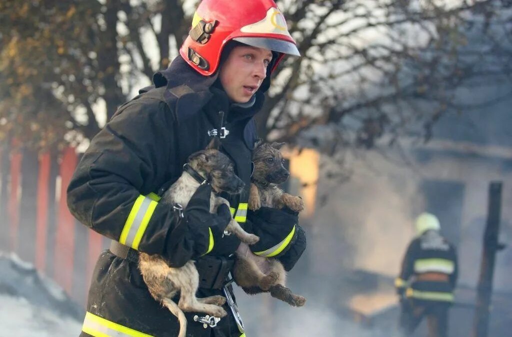 профессия пожарник. пожарная служба мчс россии. пожарная служба. работа пожарных. жизнь в работе пожарного.