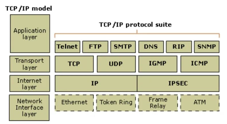Tcp illustrated. Tcp illustrated