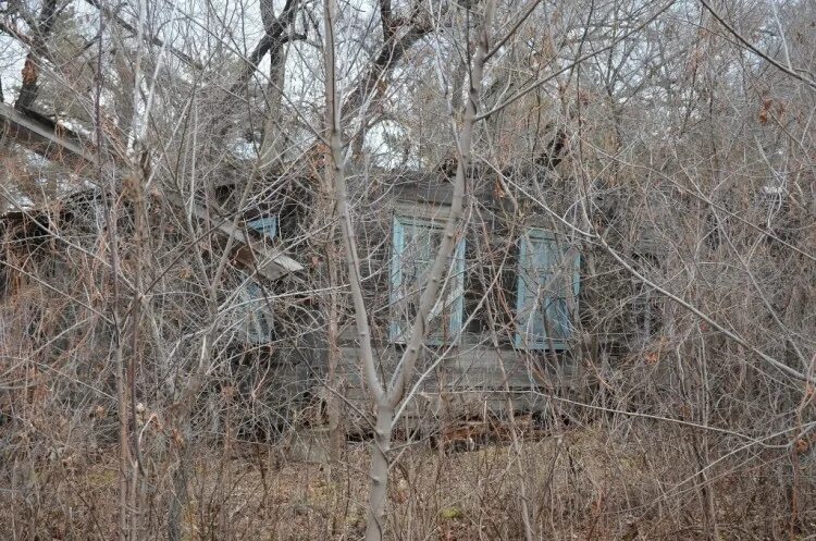 Пгт Кировский Приморский. Поселок Кировский Приморский край. Заброшенный дом в пгт Кировском Приморский край. Пожар пгт Кировский Приморский край 30.08.2022.