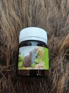 Бобровая приманка
