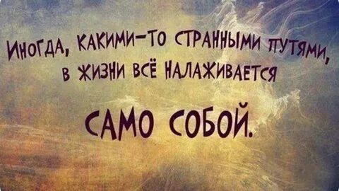 i?id=f4322b9e1b0ef2356da9a19507d61b8a1c6f71d5-5361789-images-thumbs&n=13