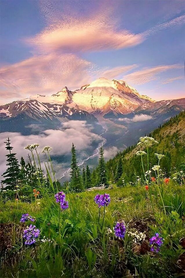 Великолепие гор. Великолепие гор. Горы. Горы солнце. Национальный парк маунт-рейнир.