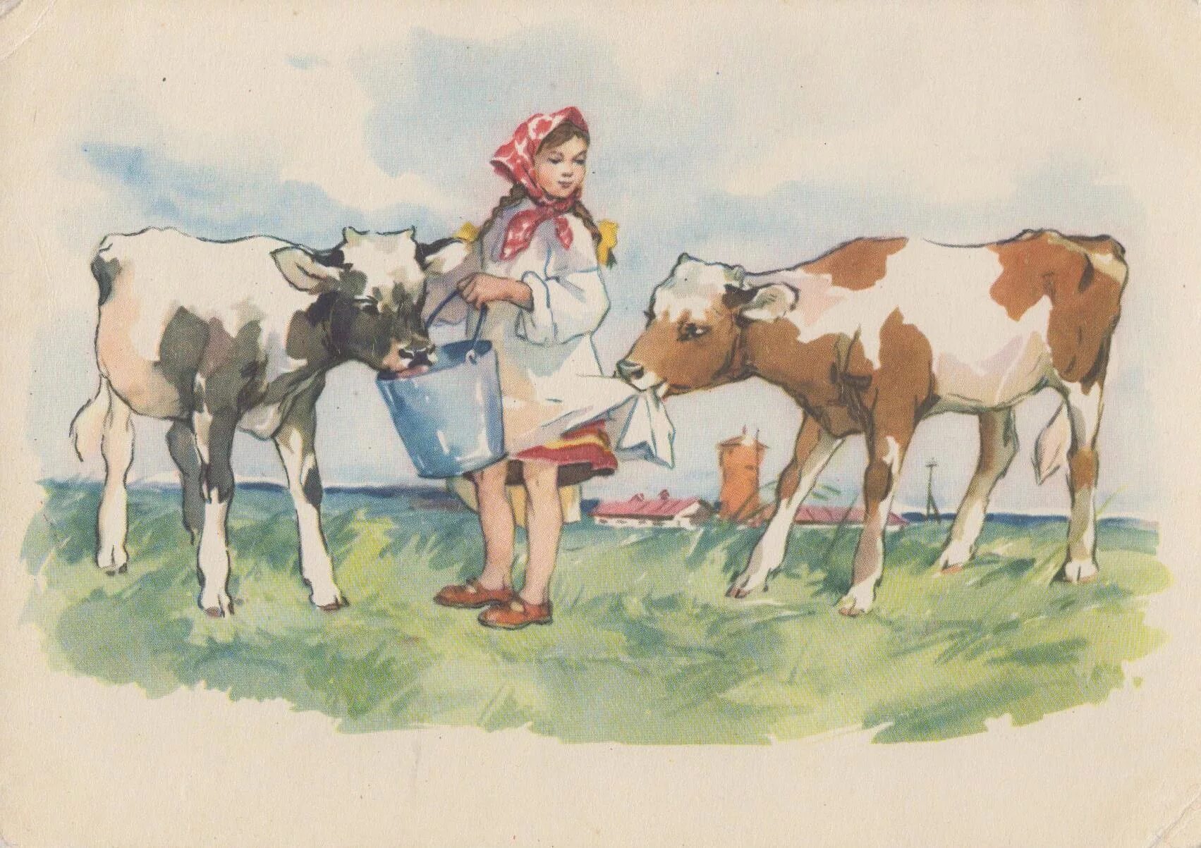 Картина телятница. Доярка профессия. Рисунок на тему сельское хозяйство. Детские рисунки на тему сельское хозяйство.