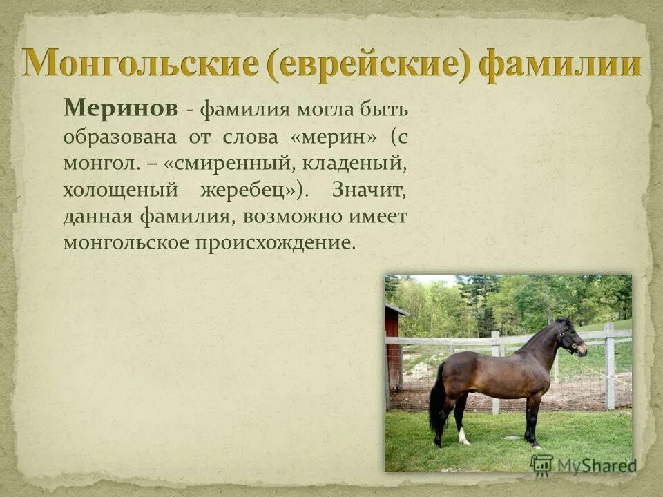 предложение со словом лошадь. значение слова сивый мерин.