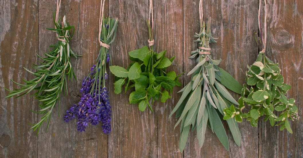 Мята лаванда. Мята png. Magneric water лаванда мята. Мята лаванда. Лаванда и розмарин.