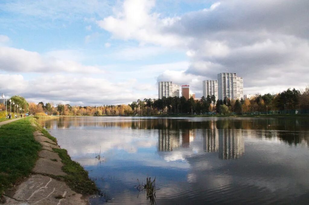 Нижний пруд ярославль. Население пруда. Город зеленоград московская область. Центральный пруд одинцово парк. Пруд баранка в одинцово.