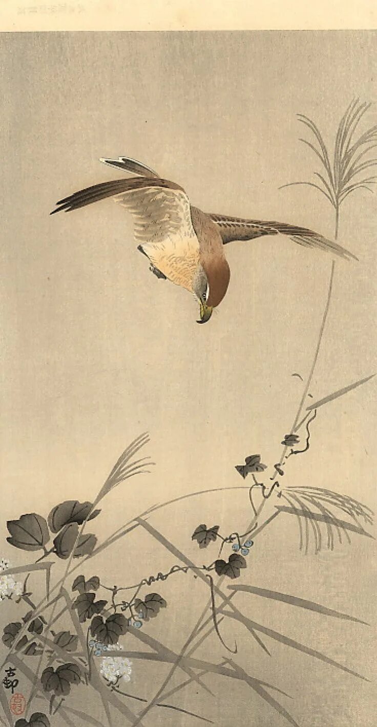 Косон охара sandpipers and moon. Картины художника охара косон. Охара косон. Охара косон картины гравюры. Охара косон картины.