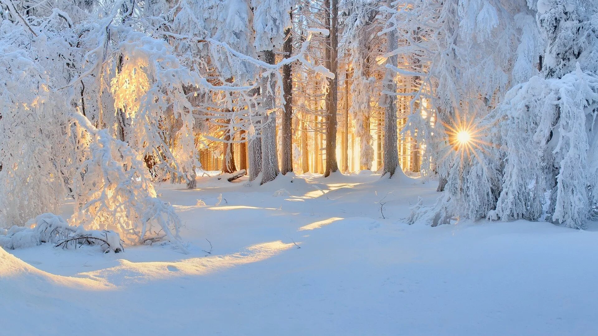 Слушать песню холодно на морозе. Зима снег. Сказочная зима. Зимний лес. Зимняя природа.