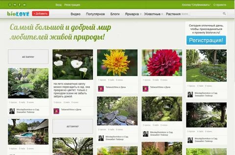 Фотохостинги бесплатные