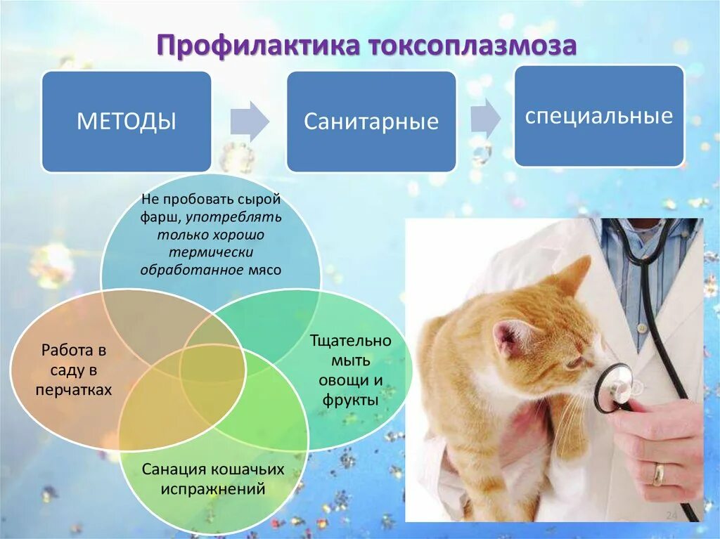 Заболевания передающиеся от кошек. Кошачья инфекция токсоплазмоз. Болезни кошек передающиеся человеку токсоплазмоз. Токсоплазмоз профилактика. Меры профилактики токсоплазмоза.