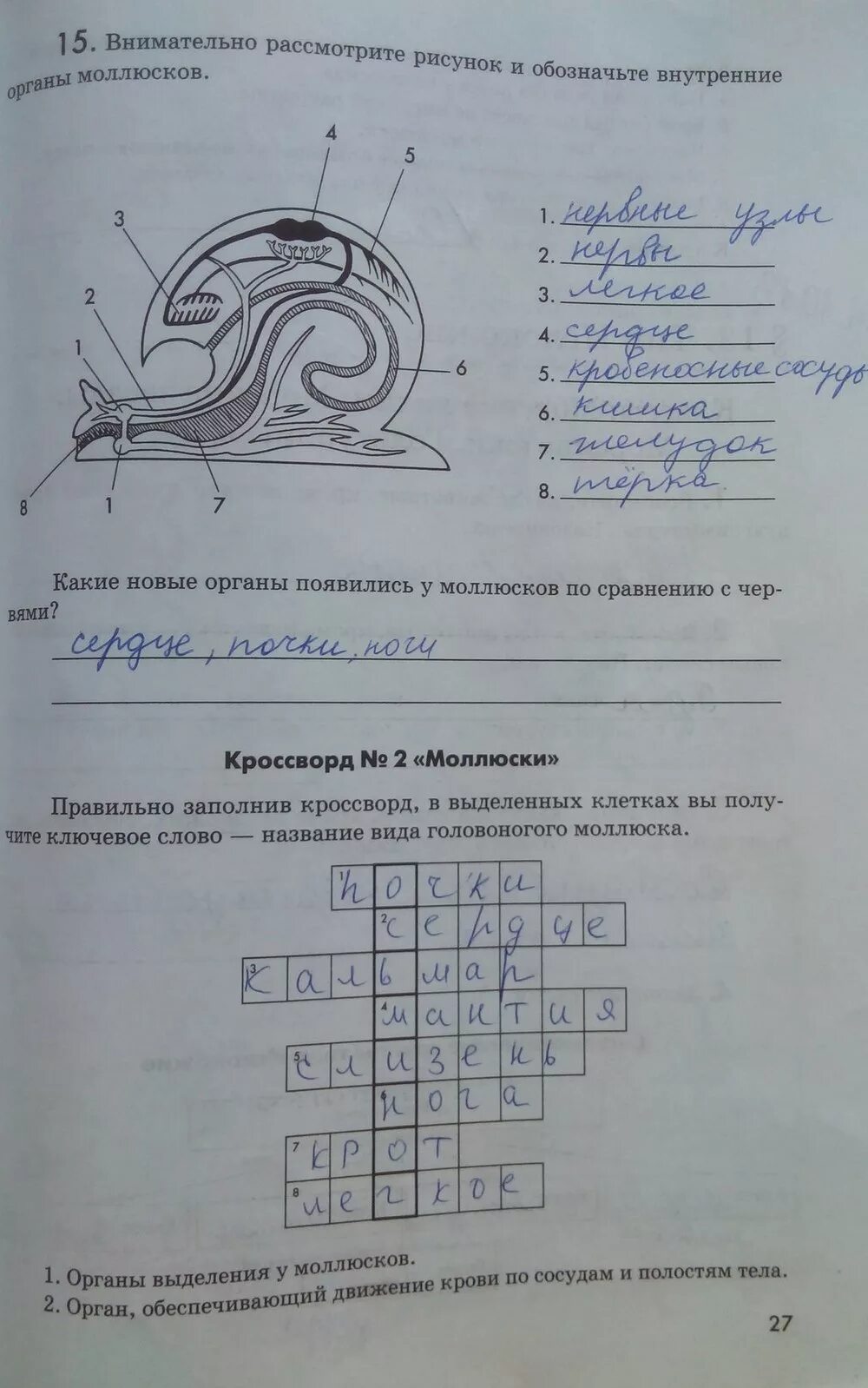 Кроссворд членистоногие 7 класс с ответами. Гдз рабочая тетрадь по биологии 7 класс моллюски. кроссворд по биологии 7 класс. рабочая тетрадь по биологии 7 класс. кроссворд по биологии 7 класс с ответами.