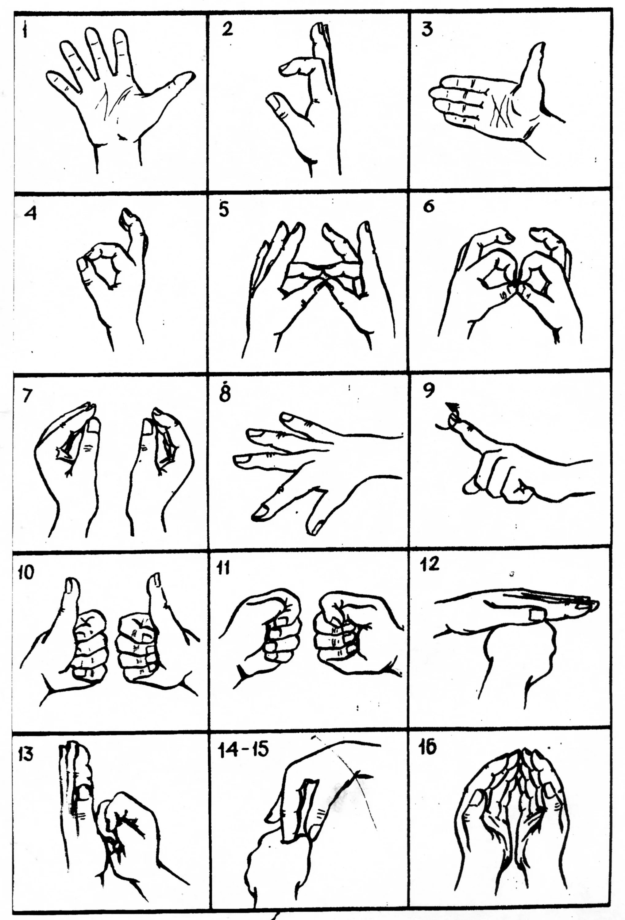 Разминочные упражнения для кистей и пальцев рук. Нейропсихологические упражнения для пальцев. Пальчиковые упражнения гимнастика для пальцев. Комплекс упражнений для пальцев рук. Пальцы рук и мозг