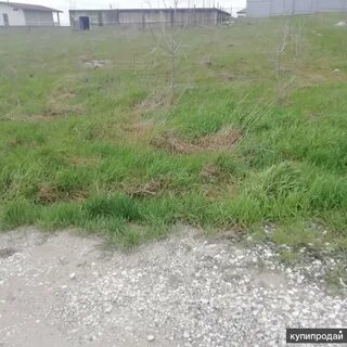 Ижс в новороссийске
