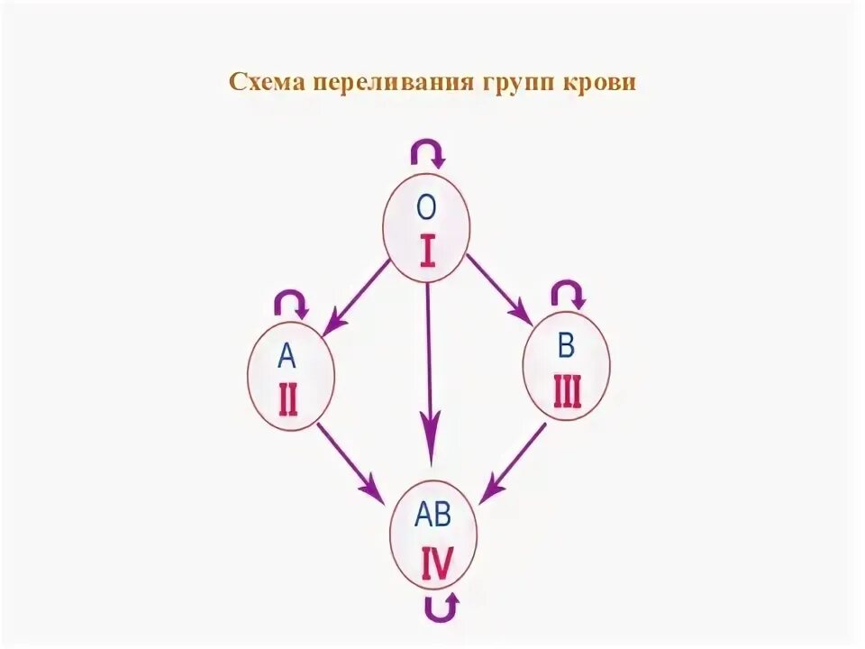 Какую группу крови можно переливать 2. Схема переливания крови по группам. 4 Группа схема переливания. Учитель про задачи на переливание групп крови.