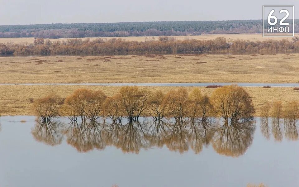 Половодье Ижевское Рязанская область. Половодье в Никитино Рязанской области. Половодье 2022 Рязани. Паводок в Спасском районе Рязанской области 030423.