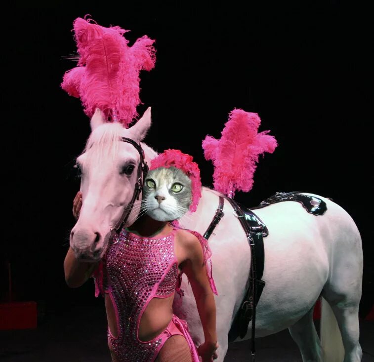 Девочка пони из цирка. Цирковые костюмы. Девочка пони из цирка. Девочка с пони. Анастасия стыкан-федотова.