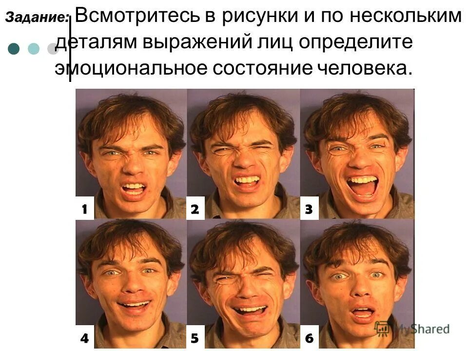 Выражение лица какое бывает. Эмоциональное состояние человека. эмоциональные состояния личности. хорошее эмоциональное состояние. различные выражения лица.