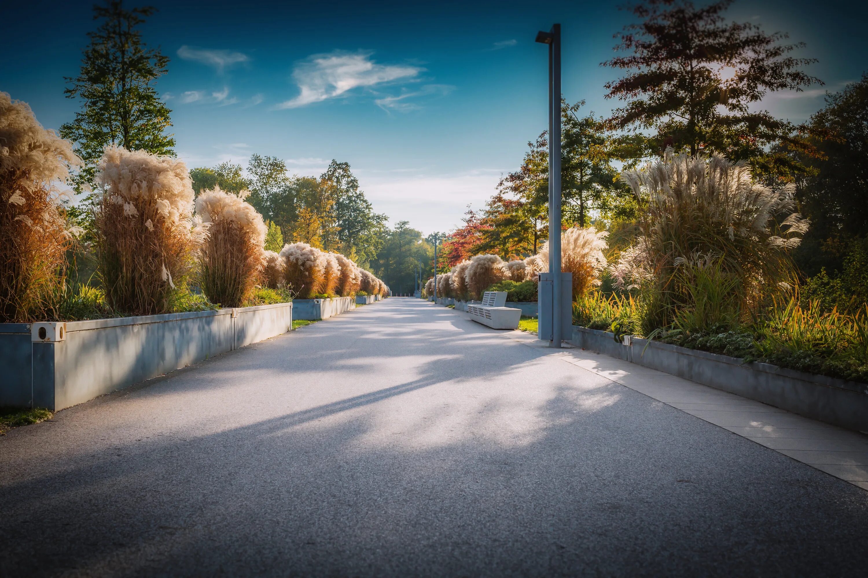 Утро в городе. Рассвет солнца. Солнце. Пустой сквер. Рассвет солнца.