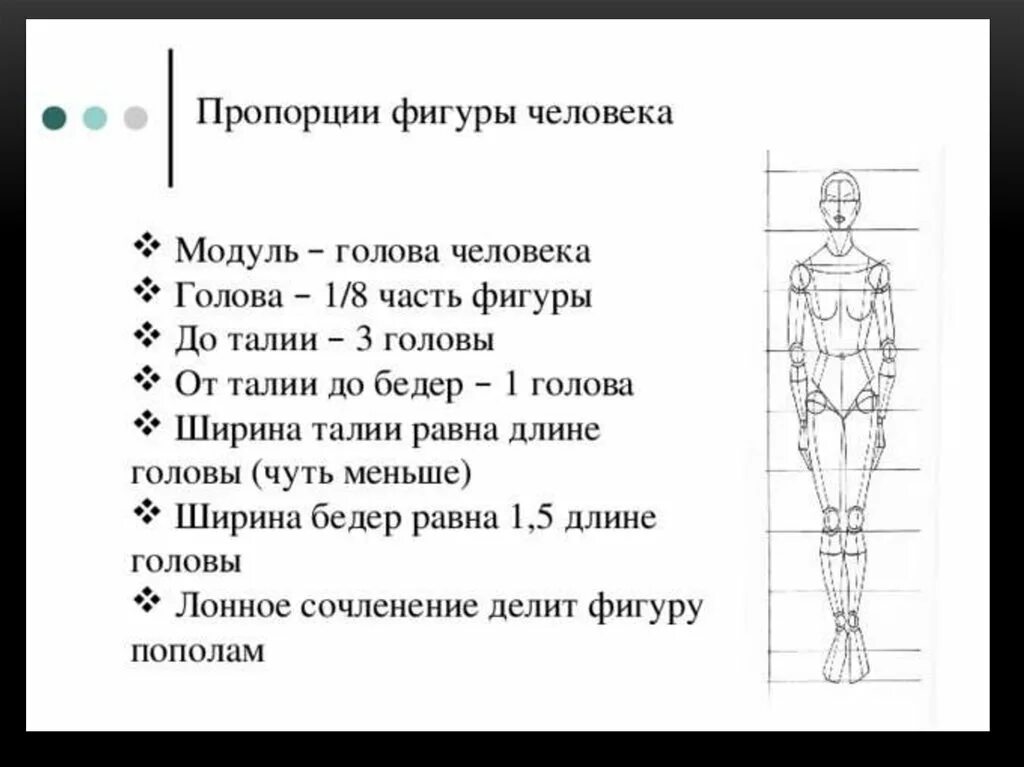 Пропорции тела человека схема. Схема пропорций фигуры человека. Единица измерения пропорции фигуры человека. Пропорции тела человека анатомия теория.