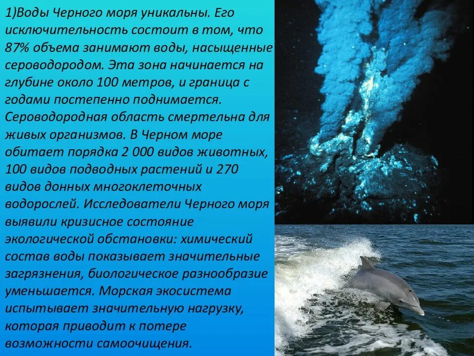 Решение проблем черного моря. Экологические проблемы черного моря. проблемы экологии черного моря. экологические проблемы морей. экология черного моря доклад.