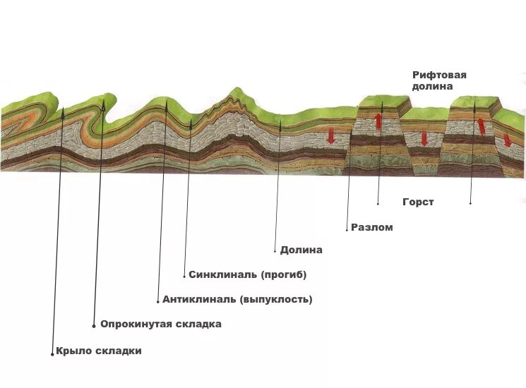 Горст антиклиналь. Геологические складки. Складки земной коры. Гора в разрезе.