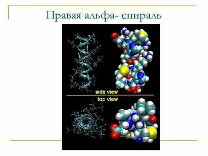 Альфа спираль белка