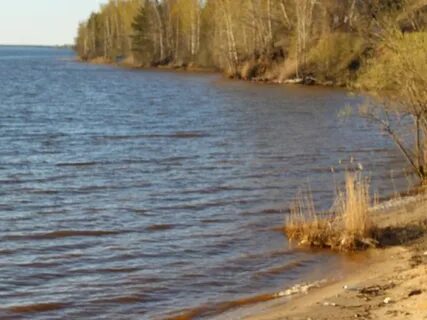 Погода в новой шомохте нижегородской