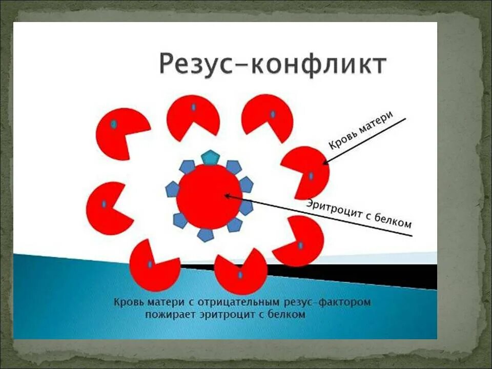 Резус конфликт возникает при. Конфликтные резус-факторы крови. Резус фактор и резус конфликт. Конфликт резус факторов. Конфликтные резусфакторы резус факторы.