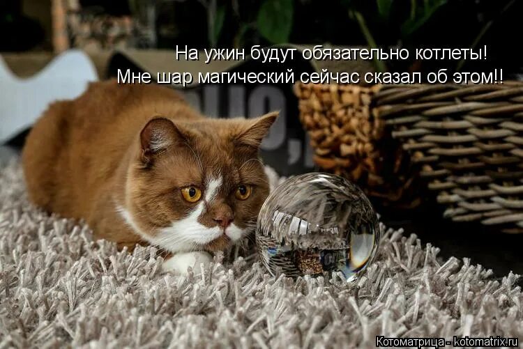 продано мем. конечно у тебя есть свое мнение. хорошо сейчас буду рассказывать. всё нормльно сейчас будем драться. рината валиуллина слив телеграмм.