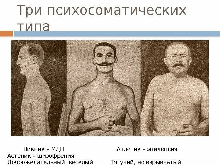 Пикник атлетик. Типы телосложения по Кречмеру астеник пикник Атлетик. Астеник Атлетик пикник. Пикник Атлетик астеник по Кречмеру. Пикник Конституция по Кречмеру.