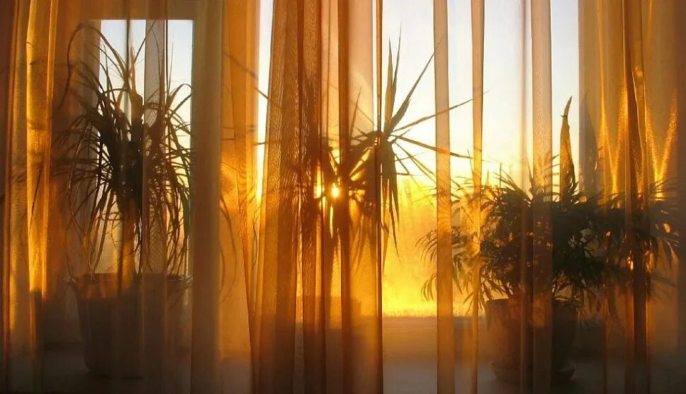 Яркое солнце светит в окна домов. Солнце в окне. Солнце сквозь шторы. Луч солнца в окне. Солнечный свет в окно.