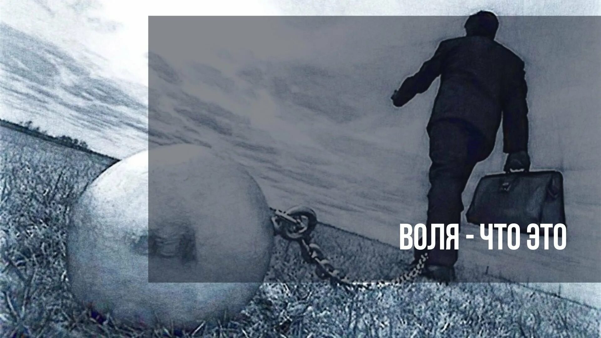 Воля случая это. Воля человека. на воле. воля картинки. волевой человек.