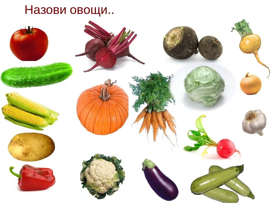 Овощи названия. Обобщающие понятия овощи. Разновидности овощей. Овощи всех видов.